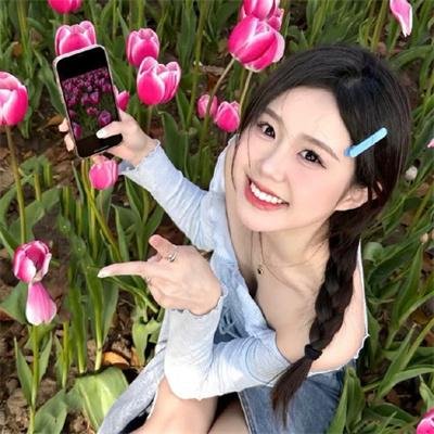 齐姆与友
